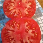 Himbeere Alt Himbeere Alt